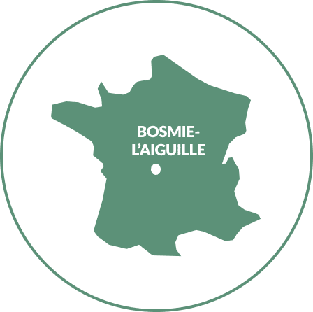 Localisation de Bosmie-l'Aiguille